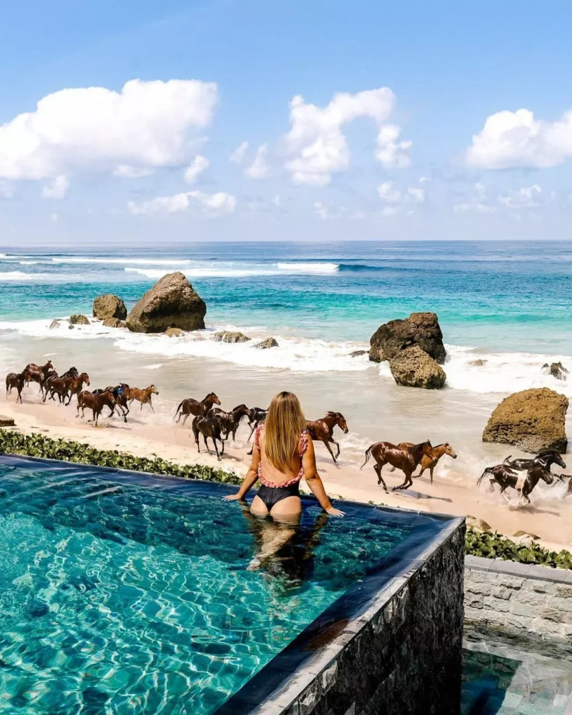 Sumba Tourism: Why Travelers Are Trading Scooters for Horses and Traditional Dress 42
Photo of a woman in a swimming pool at a hotel in Sumba while watching a horse running on the beach (IST)