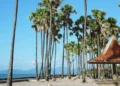 24 Hours in Kupang: The Most Underrated City in Eastern Indonesia 40 Lasiana Beach Kupang