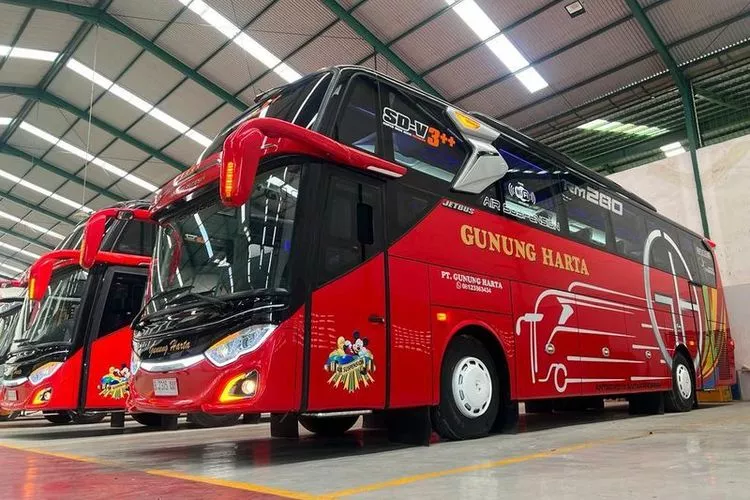 Flights to Bali Are Getting More Expensive. Here's How to Reach the Island by Train, Bus, and Ferry Instead. 38
Photo of one of the bus providers serving the route to Bali from Java