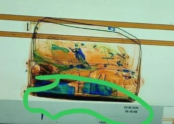 A suitcase belonging to one of the perpetrators detected carrying 7.8 kilograms of hashish. (DOC. BNN)