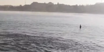 A screenshot of a video showing a body floating in the waters off Kuta Beach, Badung Regency, Bali, Wednesday (June 17, 2026). (Instagram @iful_imobile9)