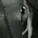 Caught on Camera: Viral Snatch Theft in Bali Prompts Police Appeal to Foreign Visitor 47 A video screenshot capturing the moment a foreign woman was mugged and fell to the ground in Pecatu Village, South Kuta District, Badung Regency, Bali, on Sunday (June 28, 2026) night.