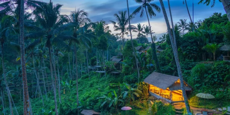 If Indonesia Is More Than Bali, Why Does Bali Keep Getting the Investment? 37 Photos of the natural beauty of Bali