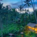 Photos of the natural beauty of Bali