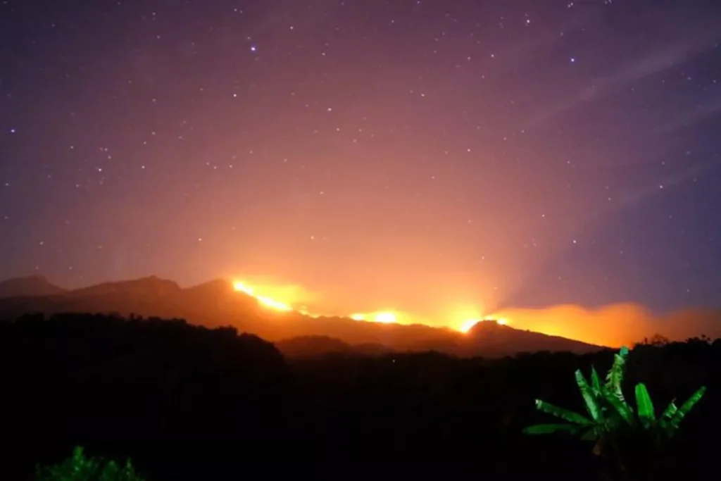 Mount Rinjani Fire Rages Uncontained as Indonesian Crews Battle Flames With Branches and Willpower 3 The TNGR Center focuses on extinguishing forest fires in the Mount Rinjani area.