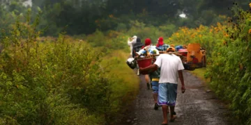 Photo of Porters helping to carry goods on Mount Rinjani