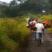 Mount Rinjani Is Raising the Bar: All Guides and Porters to Carry Official Access Cards Under New Safety Push 44 Photo of Porters helping to carry goods on Mount Rinjani