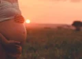 Illustration of pregnancy. A mother in Denpasar, Bali, identified as KC, had to be detained by law enforcement officers. Her husband, RSL, reported KC to the Denpasar Police Station due to administrative issues and the location of the birth of their first child.