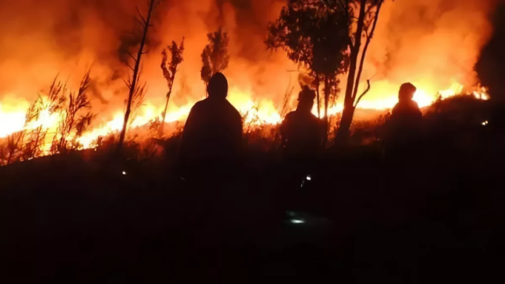Mount Rinjani Fire Rages Uncontained as Indonesian Crews Battle Flames With Branches and Willpower 38 FOREST FIRE: Forest fires broke out again in the Mount Rinjani National Park (TNGR) area, Tuesday (31/10), and as of Thursday (2/11), the fires had not been completely extinguished due to the difficult-to-reach terrain or topography.