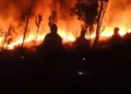 Fire Breaks Out on Mount Rinjani as Indonesian Authorities Struggle to Contain Blaze 49 FOREST FIRE: Forest fires broke out again in the Mount Rinjani National Park (TNGR) area, Tuesday (31/10), and as of Thursday (2/11), the fires had not been completely extinguished due to the difficult-to-reach terrain or topography.