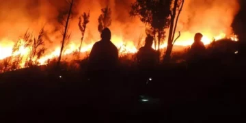 FOREST FIRE: Forest fires broke out again in the Mount Rinjani National Park (TNGR) area, Tuesday (31/10), and as of Thursday (2/11), the fires had not been completely extinguished due to the difficult-to-reach terrain or topography.