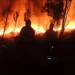 FOREST FIRE: Forest fires broke out again in the Mount Rinjani National Park (TNGR) area, Tuesday (31/10), and as of Thursday (2/11), the fires had not been completely extinguished due to the difficult-to-reach terrain or topography.