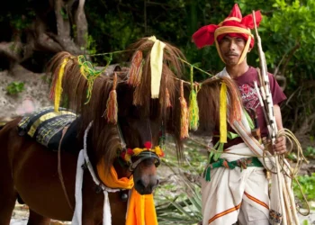 In Sumba, Tourists Are Trading Scooters for Horses and Traditional Weaves