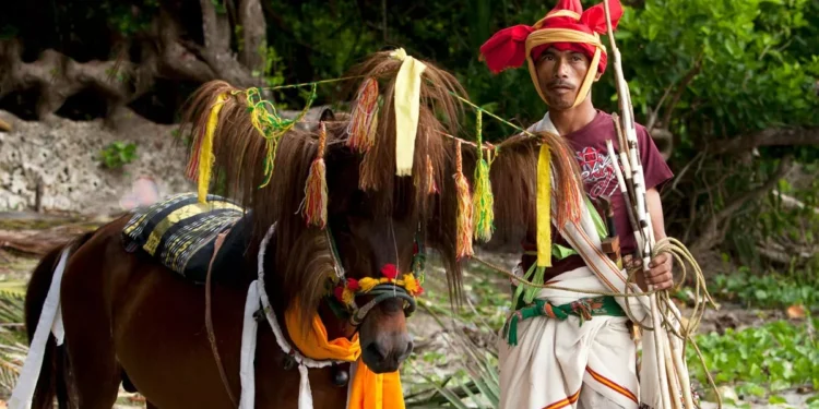 Sumba Tourism: Why Travelers Are Trading Scooters for Horses and Traditional Dress 37 In Sumba, Tourists Are Trading Scooters for Horses and Traditional Weaves