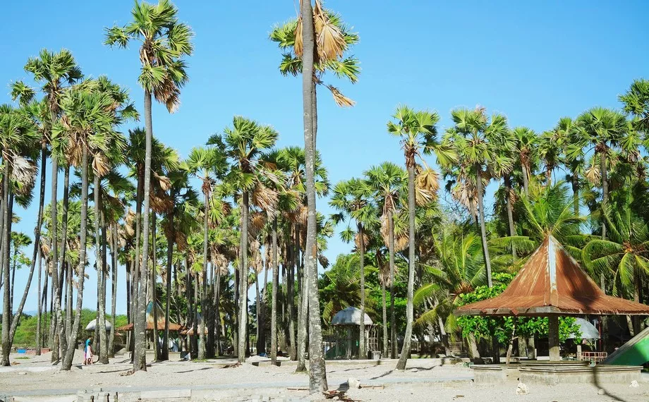 24 Hours in Kupang: The Most Underrated City in Eastern Indonesia 44 Lasiana Beach Kupang