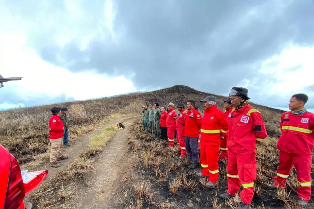 Poachers Blamed for 11-Day Wildfire That Torched Nearly 2,000 Hectares of Mount Tambora's UNESCO Biosphere Reserve 39 A joint team extinguishing a fire in the savanna area of Tambora National Park, Thursday (July 9, 2026).