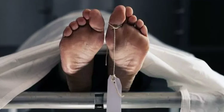 Illustration of a body. (SHUTTERSTOCK/Skyward Kick Productions)