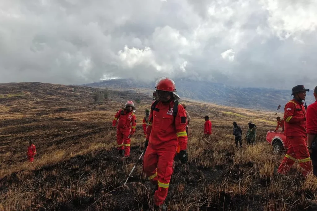 A joint team extinguishing a fire in the savanna area of ​​Tambora National Park, Thursday (July 9, 2026). (Doc: Abdul Aziz Bakry)