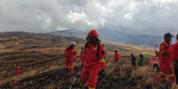 A joint team extinguishing a fire in the savanna area of ​​Tambora National Park, Thursday (July 9, 2026). (Doc: Abdul Aziz Bakry)