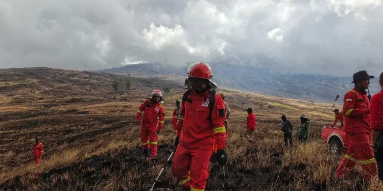 A joint team extinguishing a fire in the savanna area of ​​Tambora National Park, Thursday (July 9, 2026). (Doc: Abdul Aziz Bakry)