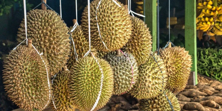 A photo of durians being sold by the roadside in Indonesia.