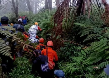 Hiker Rescued Unconscious on Mount Agung After Exhaustion Strikes at 2,200 Meters 43 Photo: Evacuation of a Mount Agung hiker who suffered from exhaustion and lost consciousness, Saturday (July 18, 2026) (Photo: Basarnas Karangasem)