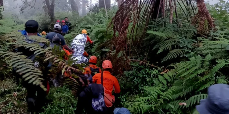 Hiker Rescued Unconscious on Mount Agung After Exhaustion Strikes at 2,200 Meters 37 Photo: Evacuation of a Mount Agung hiker who suffered from exhaustion and lost consciousness, Saturday (July 18, 2026) (Photo: Basarnas Karangasem)