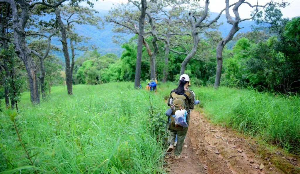 Hiking vs. Trekking: What's the Real Difference, and Which One Is That Mount Batur Sunrise Climb Everyone's Talking About? 39 Hikers carrying backpacks along a forest trail, showing a classic Bali hiking experience and the transition from hiking to trekking in more challenging terrain.