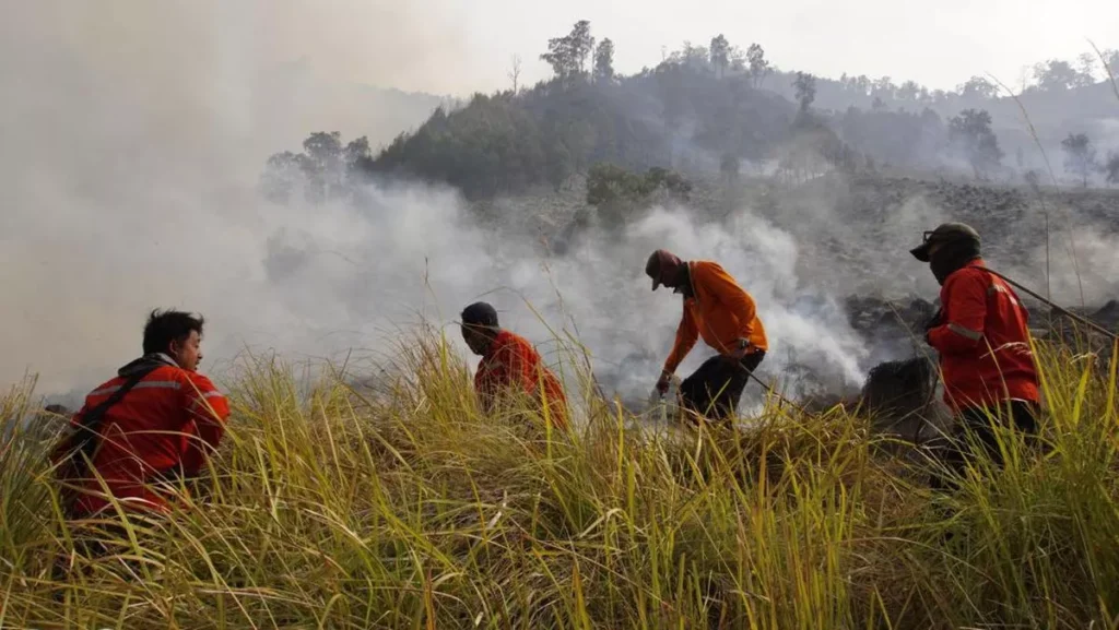 Poachers Blamed for 11-Day Wildfire That Torched Nearly 2,000 Hectares of Mount Tambora's UNESCO Biosphere Reserve 38 Illustration of firefighting efforts in a savanna. (ANTARA FOTO/Irfan Sumanjaya)
