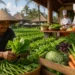 Local Balinese farmer harvesting fresh vegetables as Bali's tourism industry connects local agriculture with hotels, restaurants, and cafés through a sustainable HORECA supply chain.