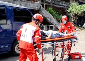 Denpasar Red Cross Sets 15-Minute Emergency Response Target as It Doubles Down on Ambulance Training 38 Photo: Denpasar City Indonesian Red Cross (PMI) personnel conducting an accident victim response simulation, Monday (July 20, 2026).
