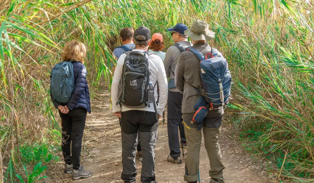 Ruck Walking: The Simple Twist That's Turning Bali's Favorite Exercise Into a Full-Body Workout 40 Group of hikers practicing ruck walking with backpacks on a nature trail, demonstrating a low-impact outdoor workout suitable for Bali.