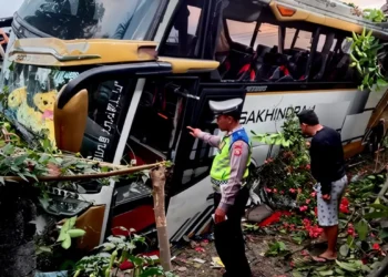 Sleepy Bus Driver Crashes Into Motorcycle on Bali's Main Highway, Rider Seriously Injured 43 Photo: The condition of the bus involved in an accident on the Denpasar-Gilimanuk Road (KM 104-105), Banjar Munduk Ranti, Tuwed Village, Melaya District, Jembrana Regency, Bali, on Tuesday (July 21, 2026). (Courtesy of Jembrana Police)