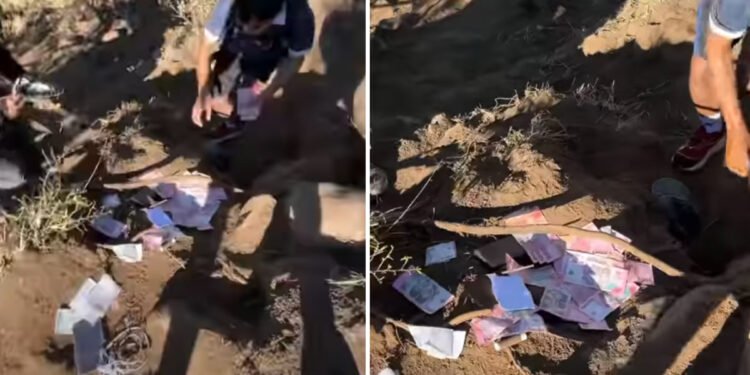 Lombok guides recover tourist cash monkeys