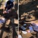 Lombok guides recover tourist cash monkeys