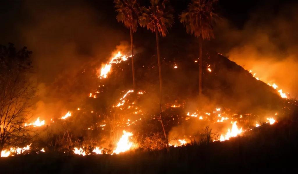 Labuan Bajo savanna fire