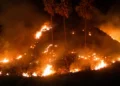 Labuan Bajo savanna fire