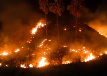 Labuan Bajo savanna fire