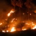 Fire Breaks Out Near Five-Star Resort in Labuan Bajo 44 Labuan Bajo savanna fire