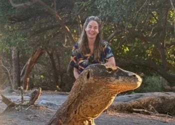How One Question From Robert De Niro Sent Michelle Monaghan Flying Back to Indonesia for the Komodo Dragons 37 Michelle Monaghan Robert De Niro Komodo dragons