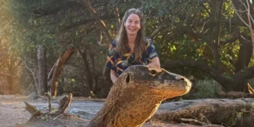 Michelle Monaghan Robert De Niro Komodo dragons