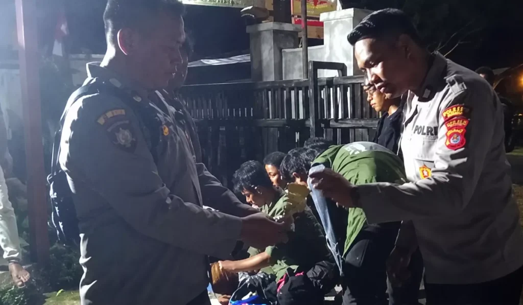 Mount Tambora edelweiss ban