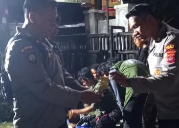Mount Tambora edelweiss ban