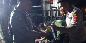 Mount Tambora edelweiss ban