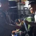 Mount Tambora edelweiss ban