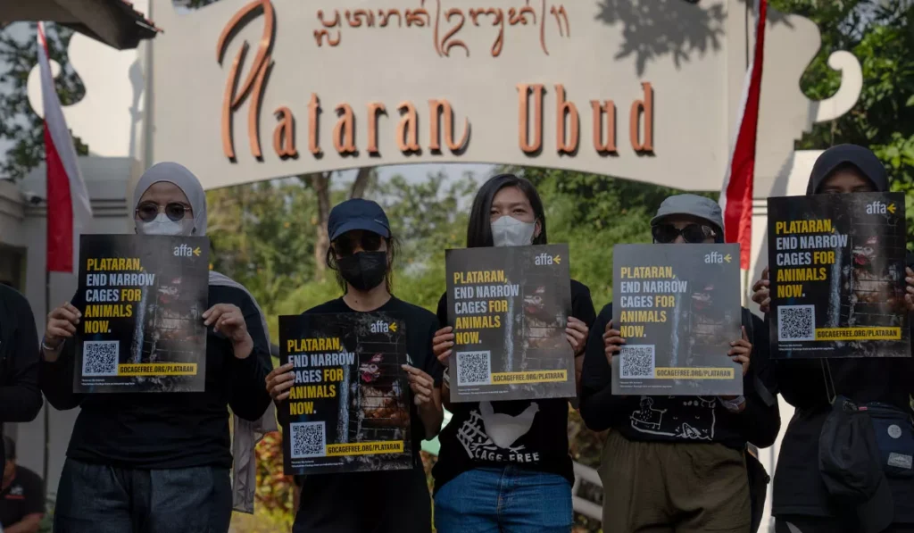 Plataran cage-free egg protest