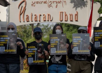 Plataran cage-free egg protest