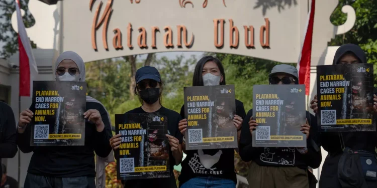 Plataran cage-free egg protest