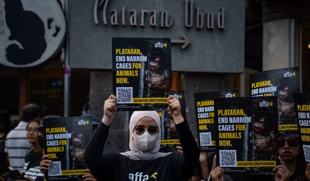 Cage-Free Protest Hits Plataran Ubud, Testing Bali's Luxury Hospitality Brands on Animal Welfare 39 Plataran cage-free egg protest