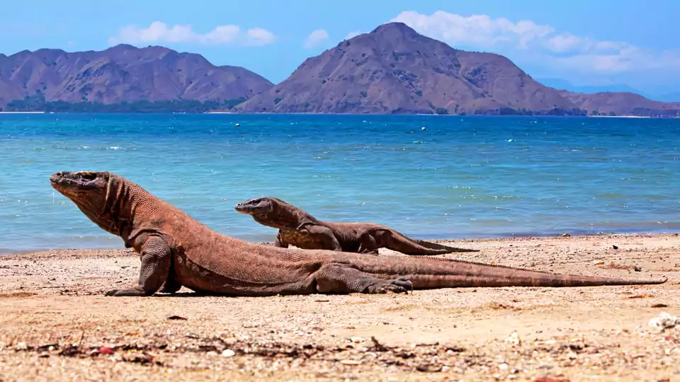 Komodo Tour Slow Boat